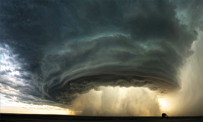 ������ �������� ������������ ����������� ���������