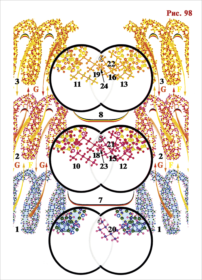 ������� ������� ������������ �������� ������� � ���������� ���������� �������� �������� ��������� �����