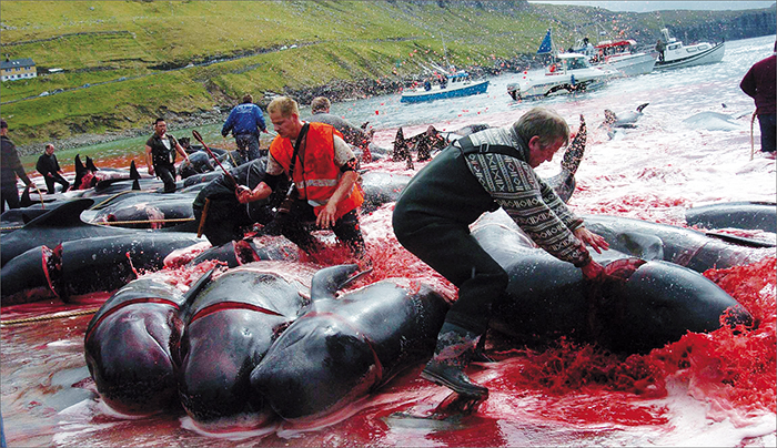 �������� �������� ��������� ��������� ���������