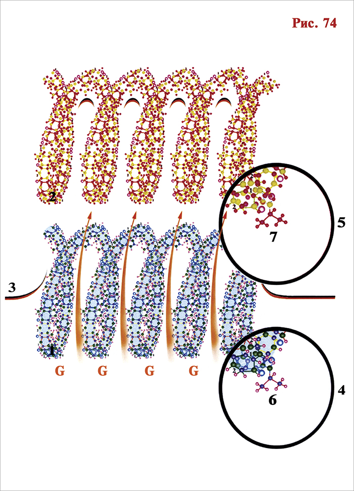 �� ������� ������ ������� ���������� ��������� (7) ������� ���� (6) �������
