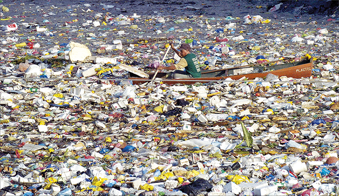 ��� ���� ����� �����, ���� � ������ �� ������