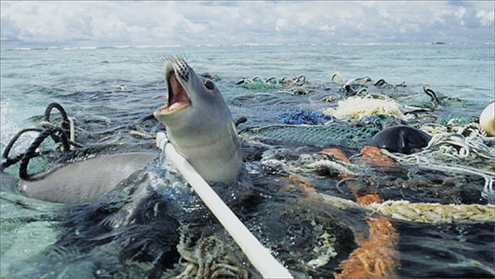 �������� ���� ������� �� ��������� ���� ��������