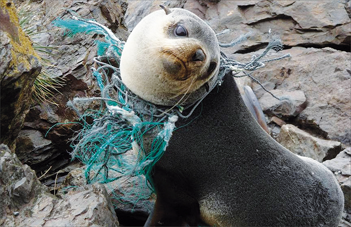 �� ���� �� �������� ���� �������� � ��������