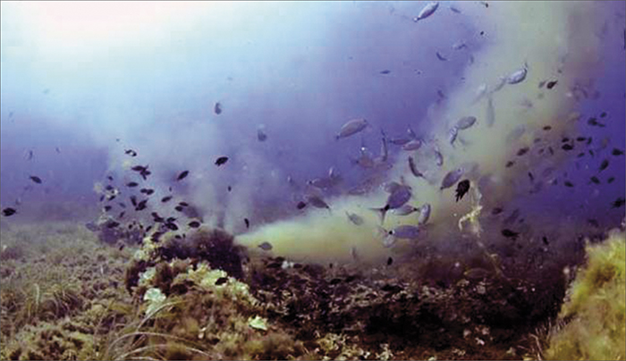 ������ ����� � ��������� �� �� ����� �������