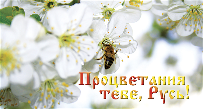 ������� ������� � ���������� ������ ������������