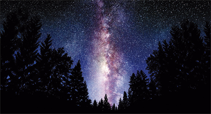 ������� ������� � ���������� ������ ������������