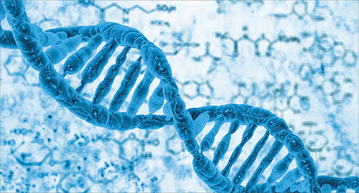 ������� ������� � ���������� ������ ������������