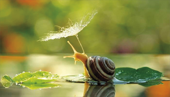 ��� ����� ������ �������� � ����������������