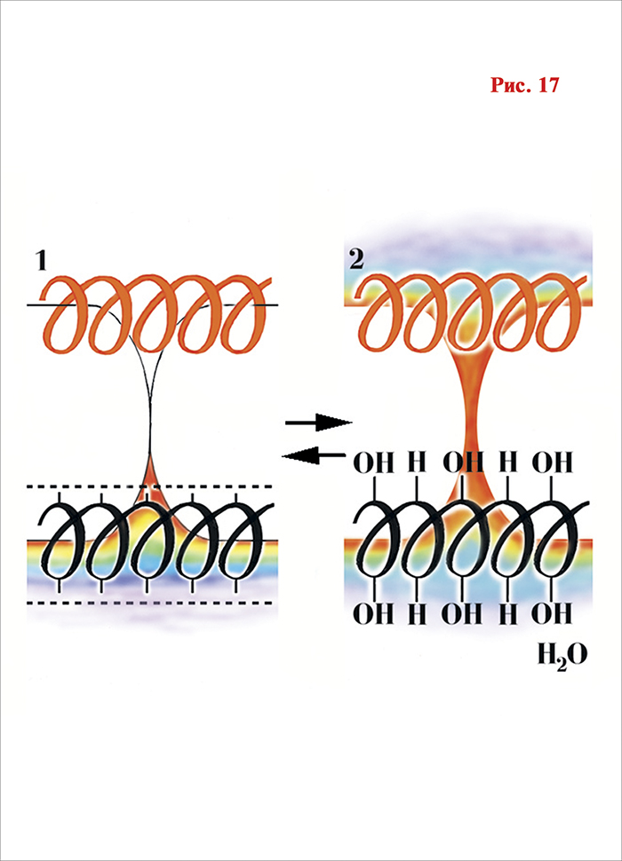 � ������ ����� ������ �����, �� ��� ������������� ����� ��������� ���� ��� ��������