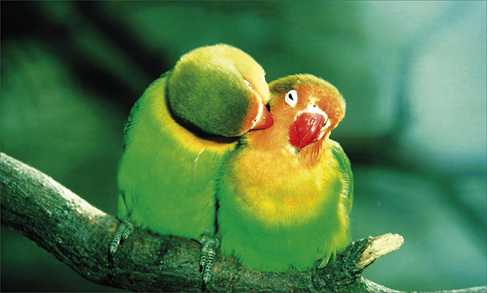 ����� � ����� ������� � �� ������� �����