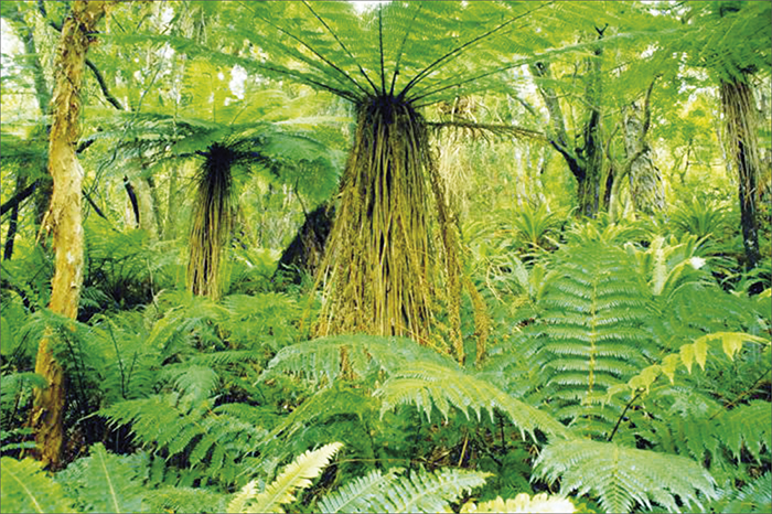 ����� ��������� �������, �������� ������ ��������� ����