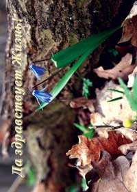 �������� � �������� ����� ������� ��������