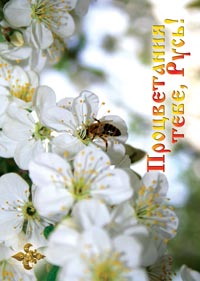 �������� � �������� ����� ������� ��������